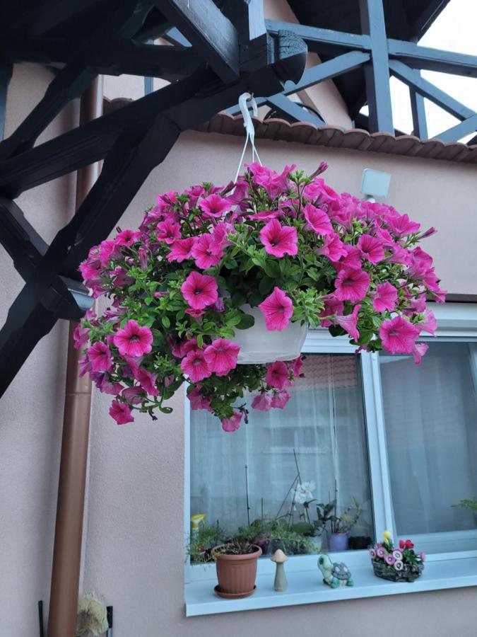 Anda vendégház Harkány Esterno foto